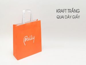 In Túi Giấy Kraft Giá Rẻ Số Lượng Ít Tại TPHCM 13 | In Gia Định